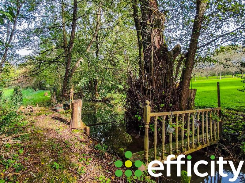 Maison de domaine équestre - 187 m² - 7 pièces