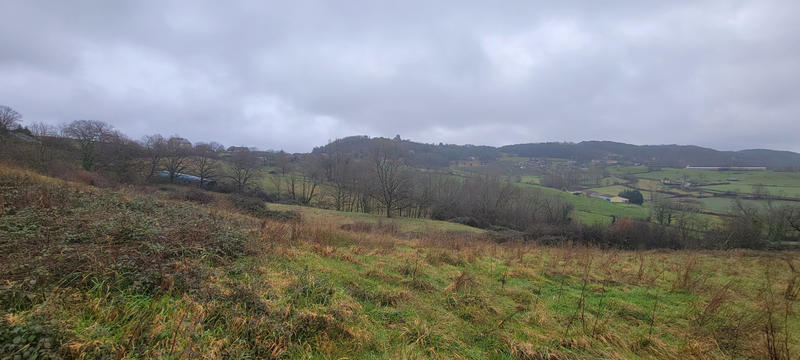 Terrain - 15 305 m²