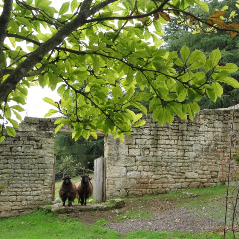 Villa - 265 m² - 9 pièces