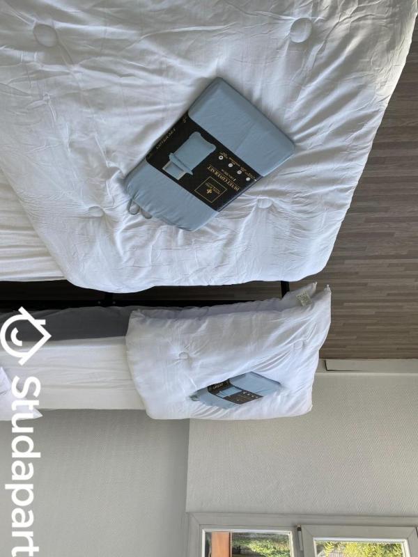 Chambre - 10 m² - 1 pièce