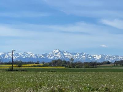 Ferme - 205 m² - 7 pièces