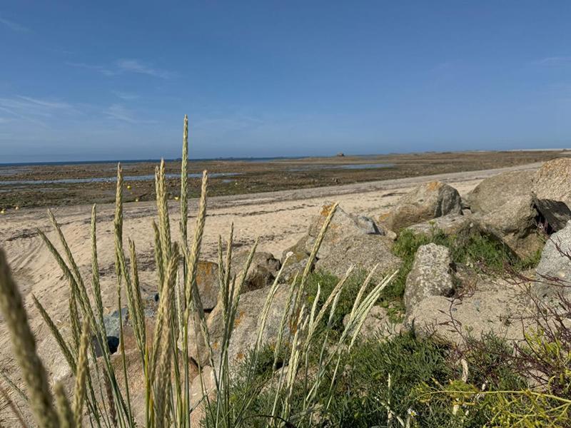 Maison - 152 m² - 6 pièces