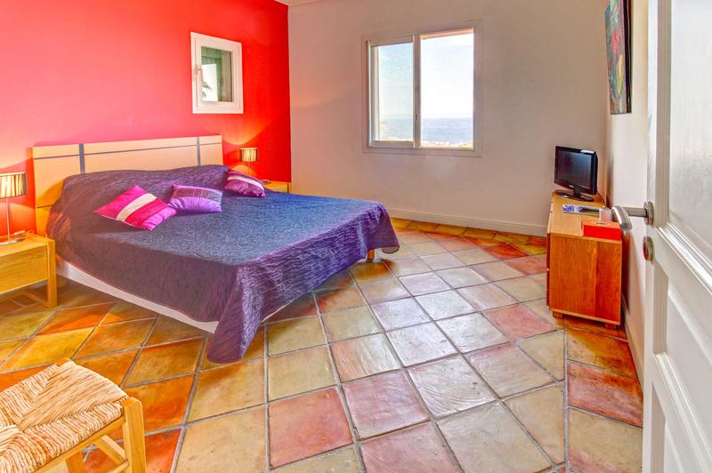 Viager - Maison - 279 m² - 7 pièces