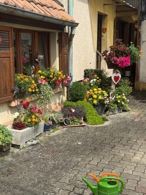 Maison - 75 m² - 4 pièces