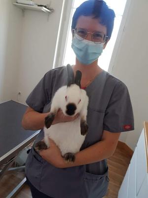 Cabinet Vétérinaire des Sources