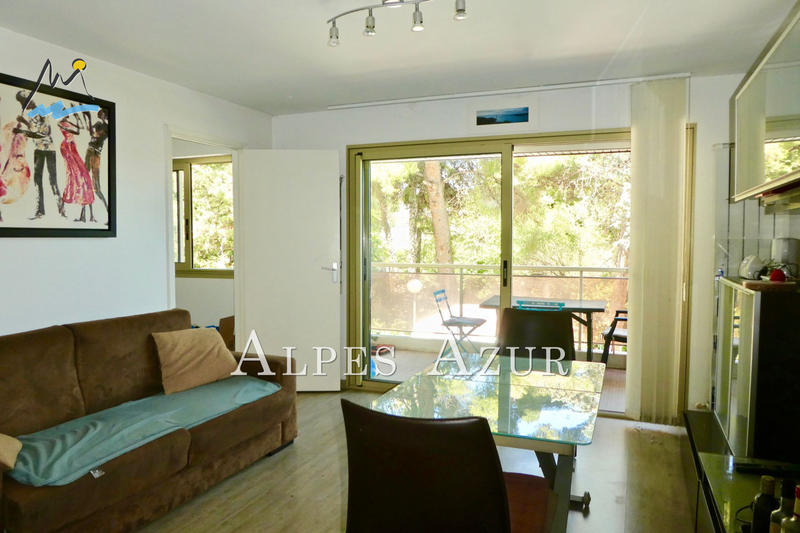 Appartement - 30 m² - 2 pièces