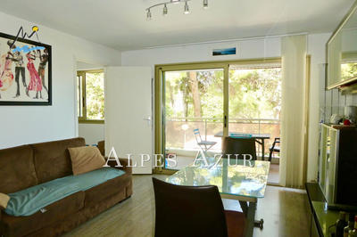 Appartement - 30 m² - 2 pièces