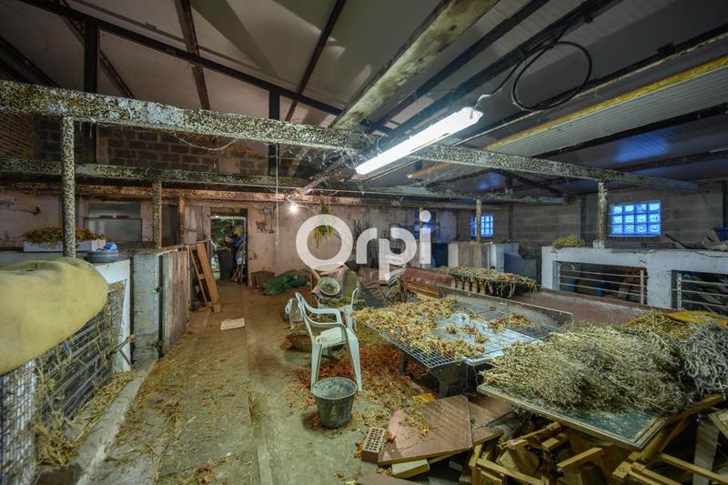 Ferme - 130 m² - 5 pièces