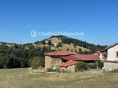 Corps de ferme - 171 m² - 7 pièces