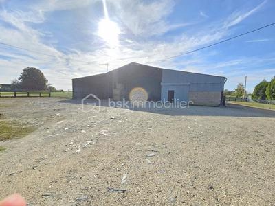 Terrain - 200 000 m²