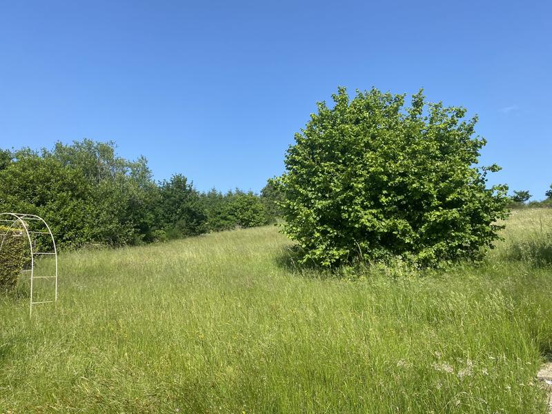 Maison ancienne - 115 m² - 6 pièces