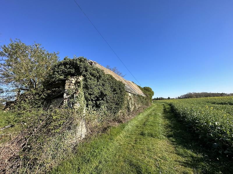 Maison - 259 m² - 10 pièces