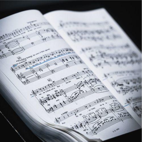 Concert - Mozart Forever