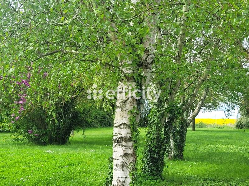 Maison - 180 m² - 7 pièces