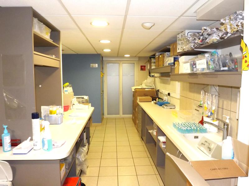 Local commercial - 256 m²