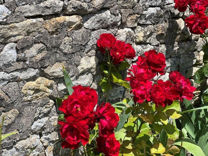 Maison - 137 m² - 4 pièces