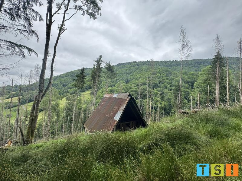 Maison - 25 m² - 1 pièce