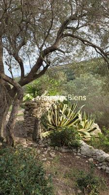 Propriété - 420 m²