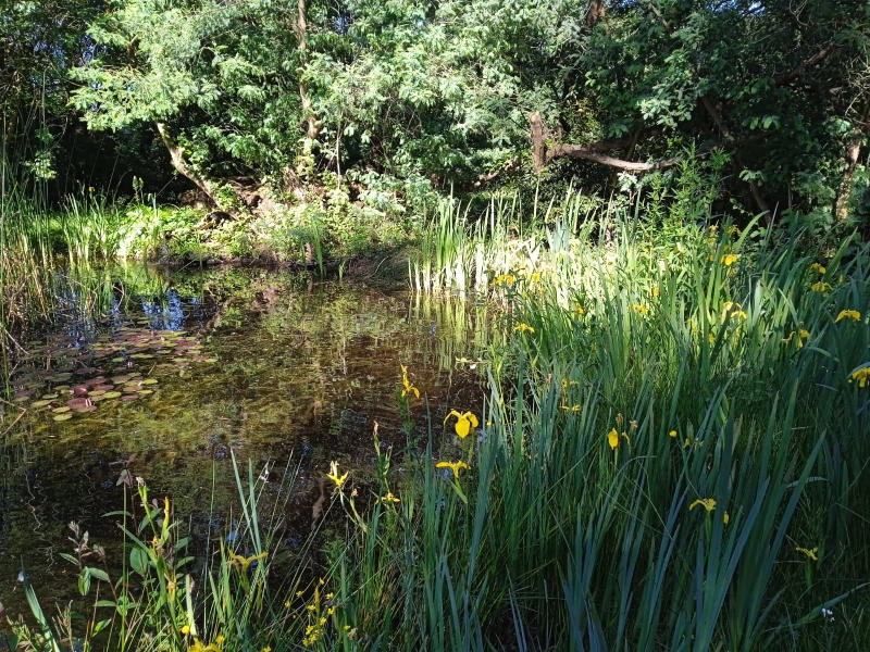 Maison - 233 m² - 8 pièces