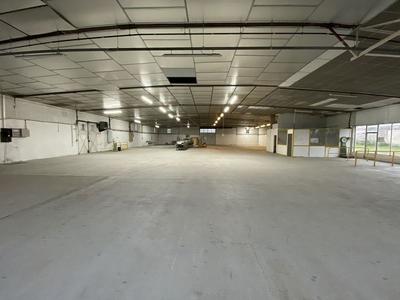 Local commercial - 1 000 m² - 2 pièces