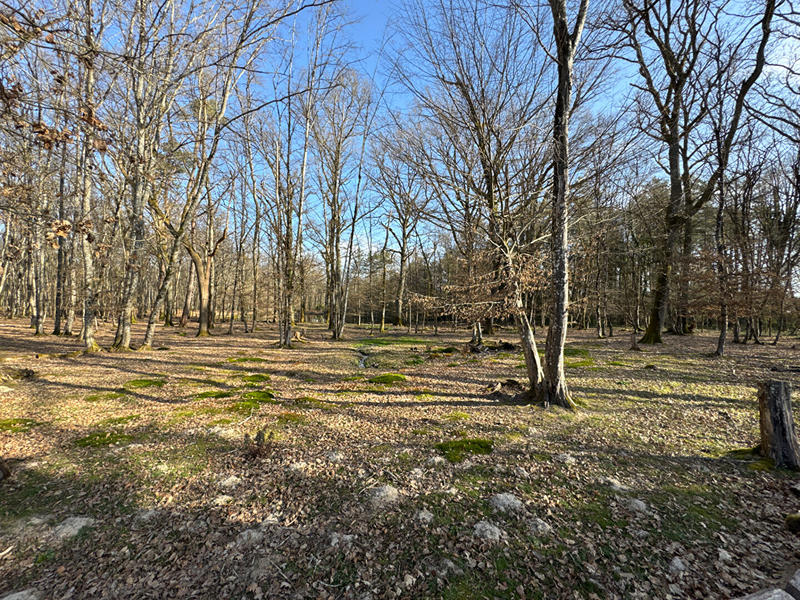 Maison - 200 m² - 7 pièces