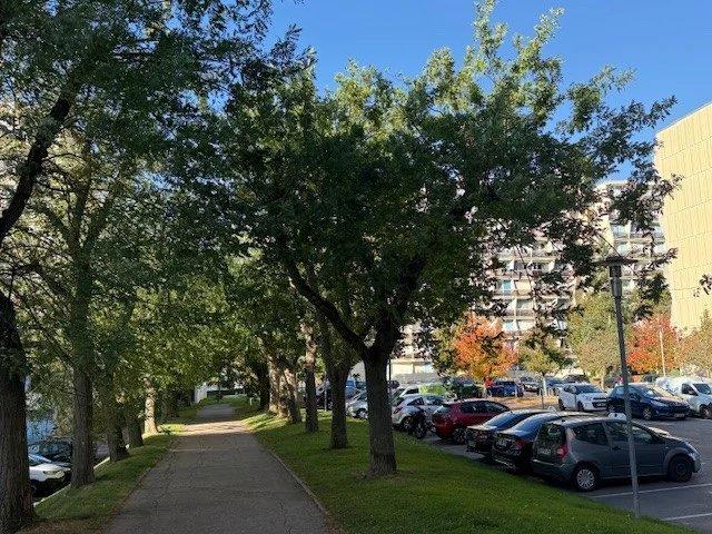 Appartement - 31 m² - 1 pièce