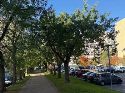 Appartement - 31 m² - 1 pièce