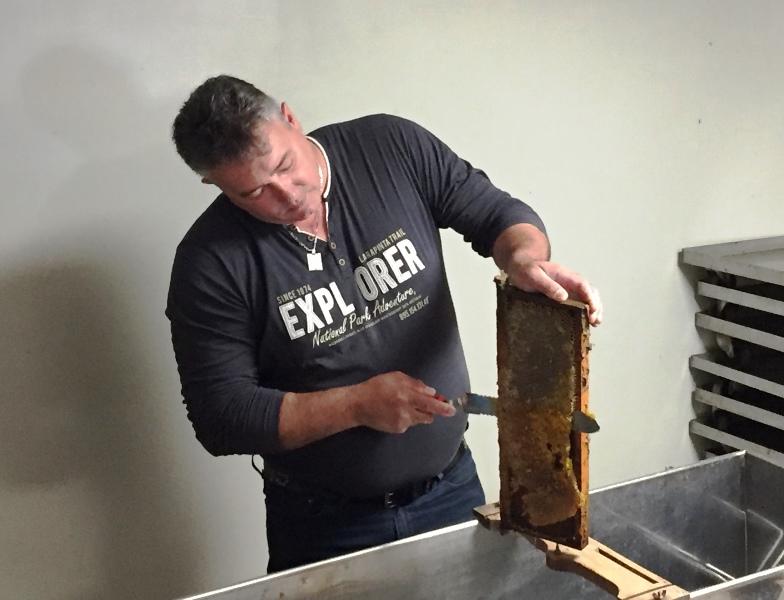 Les ruches de Salleron