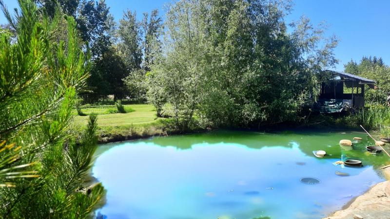 Maison - 123 m² - 5 pièces