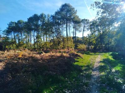 Marche &amp; respire