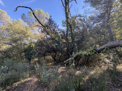 Terrain agricole - 29 000 m²