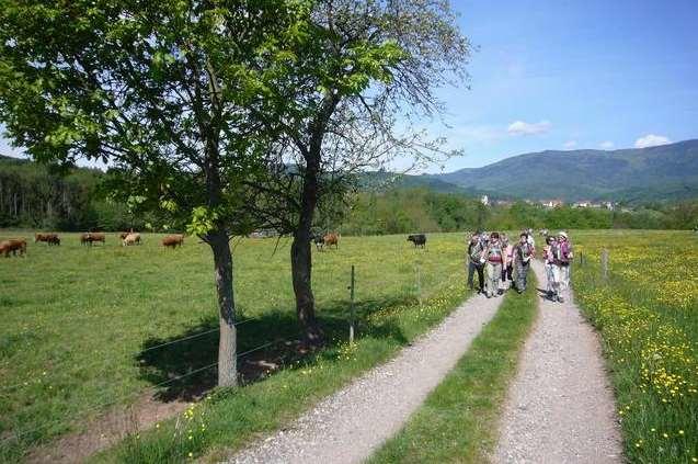 Schnackabalade : marche gourmande