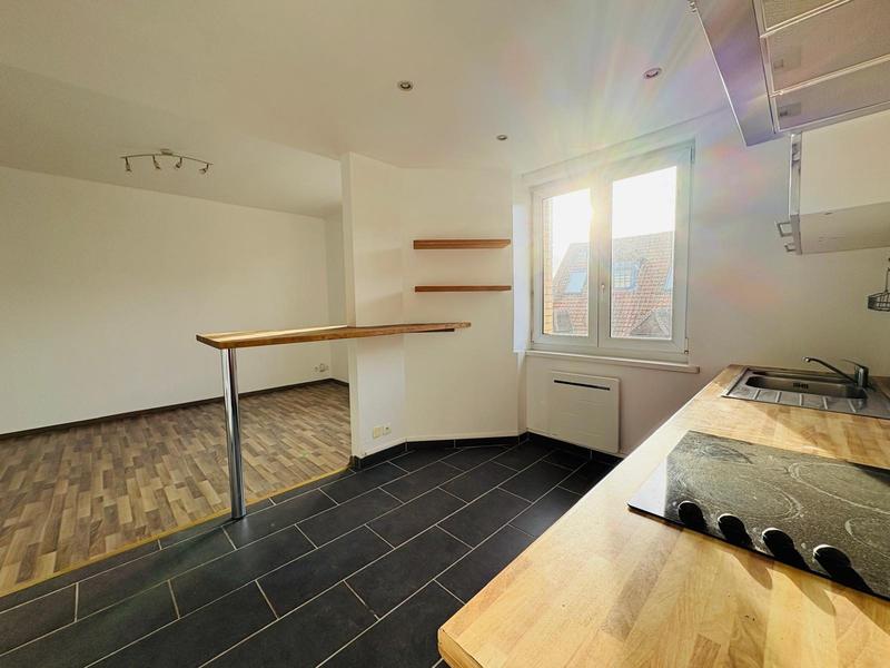 Appartement - 51 m² - 2 pièces