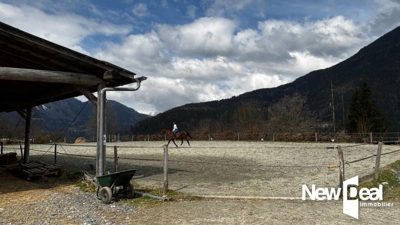 Maison de domaine équestre - 250 m² - 10 pièces
