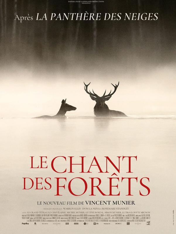 Cinéma Laruns : le Chant des forêts