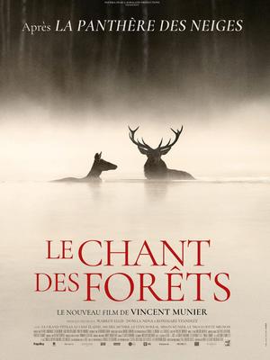 Cinéma Laruns : le Chant des forêts