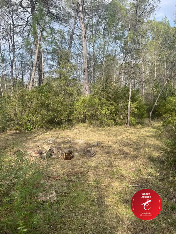 Terrain de loisirs - 3 402 m²