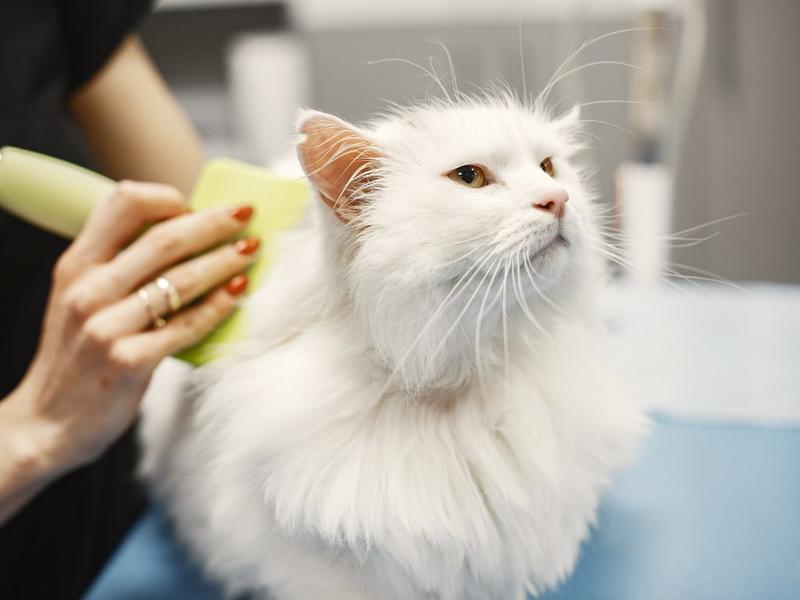 Local commercial - 29 m² - 1 pièce