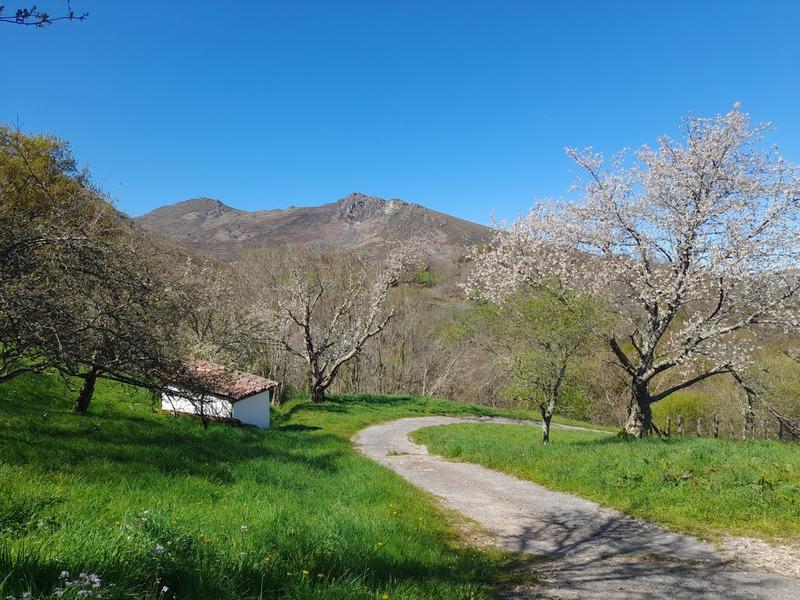 Propriété - 220 m² - 8 pièces