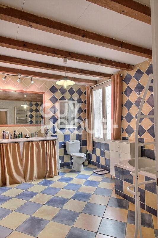 Hôtel particulier - 280 m² - 9 pièces