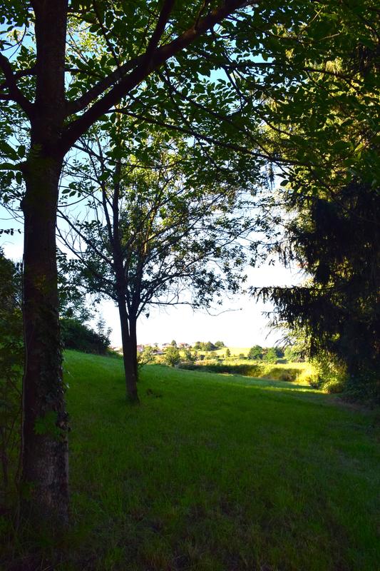 Terrain constructible - 1 245 m²