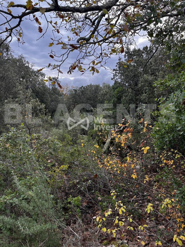 Terrain - 33 565 m²