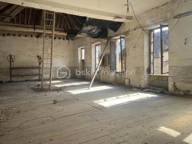 Maison ancienne - 340 m² - 9 pièces