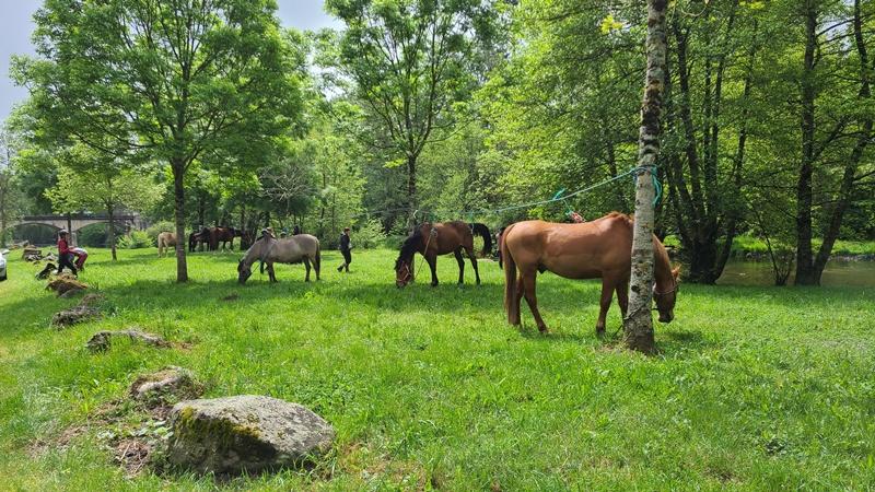 Randonnée équestre