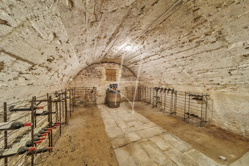 Maison ancienne - 444 m² - 9 pièces