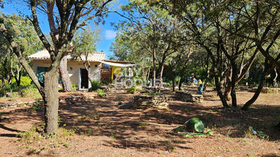 Maison - 19 m² - 1 pièce