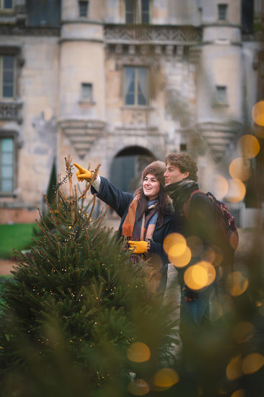 L’Hiver aux merveilles au Château de Maintenon