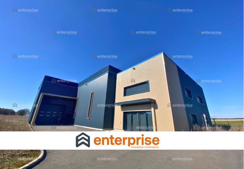 Local d'activité / Entrepôt - 715 m²