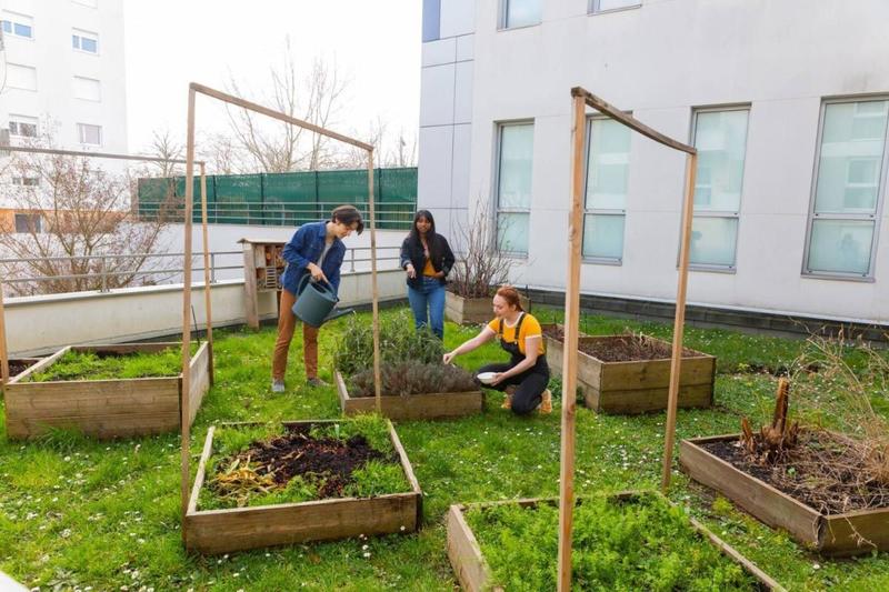 Studio - 17 m² - 1 pièce