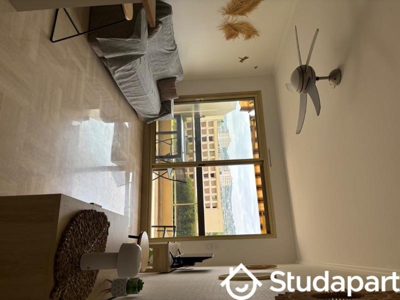 Appartement - 30 m² - 1 pièce